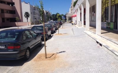 Obra de requalificação dos passeios na Avenida João Paulo II